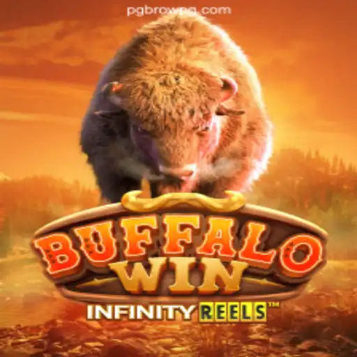 Discovering BuffaloWin: An In-Depth Look at a Premier Gaming Experience